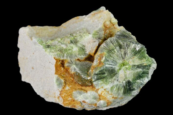 Radiating, Green Wavellite Crystal Aggregation - Arkansas #135974